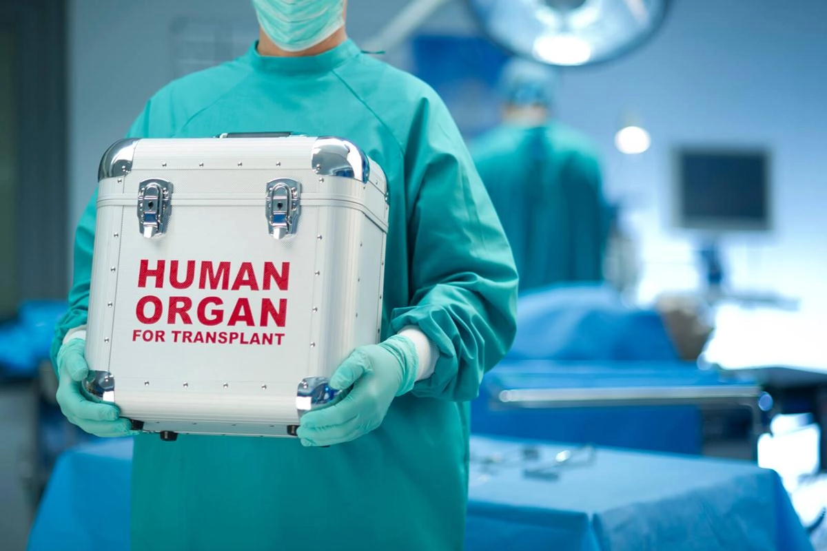 Organ Transplant 
