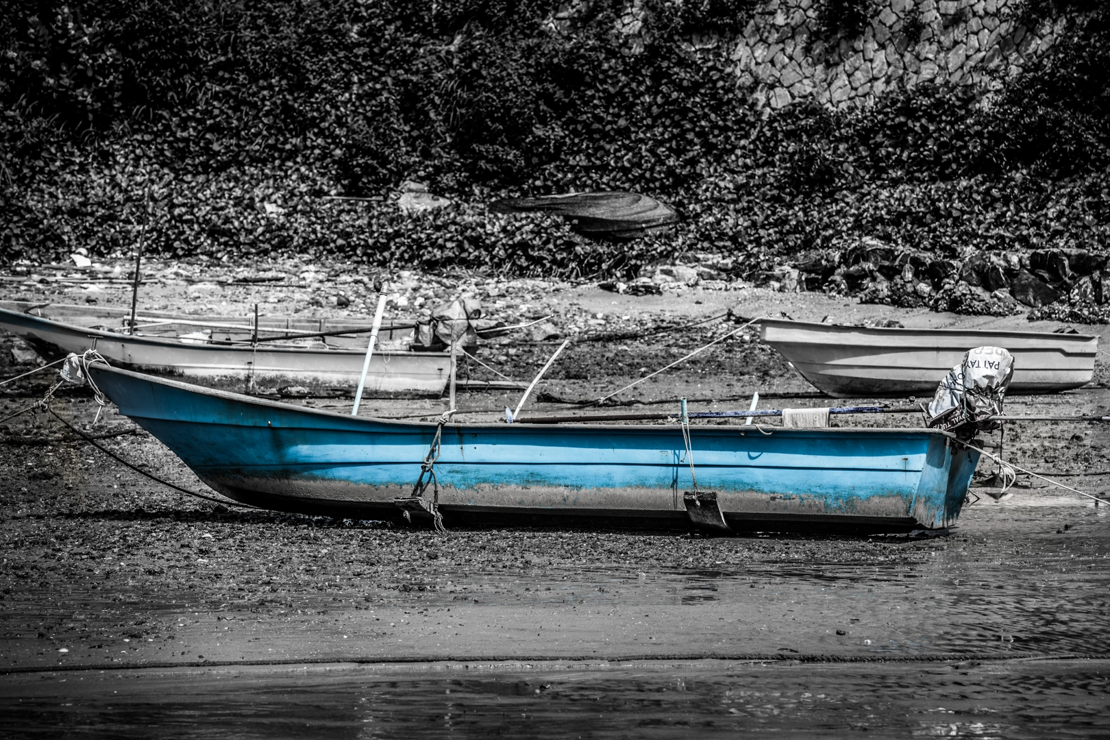 optional-activities-34