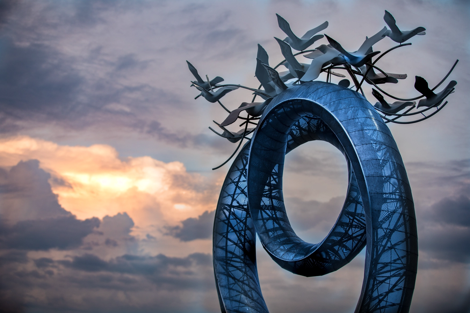 optional-activities-35