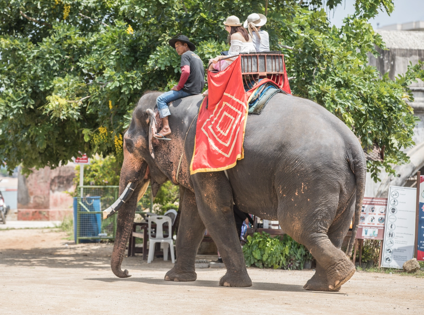 optional-activities-38